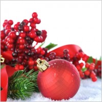 beautiful_christmas_design_elements_129_highdefinition_picture_170345