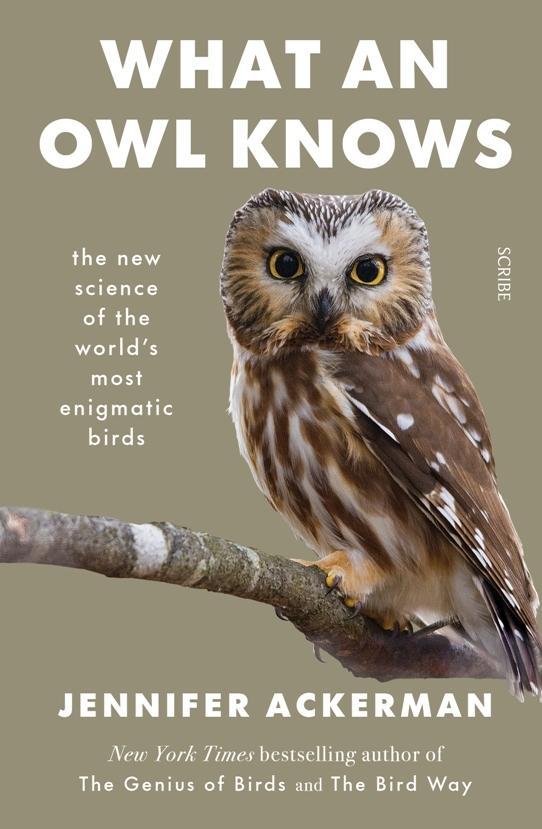 JENNIFER ACKERMAN What an Owl Knows. Reviewed by Ann Skea